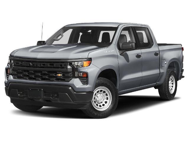 2024 Chevrolet Silverado 1500 4WD Crew Cab Short Bed Custom Trail Boss for sale in FT DENAUD, FL
