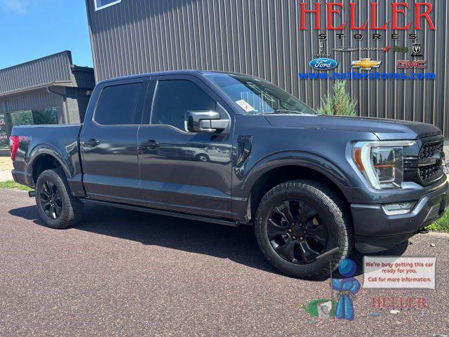 2021 Ford F-150 Platinum for sale in El Paso, IL