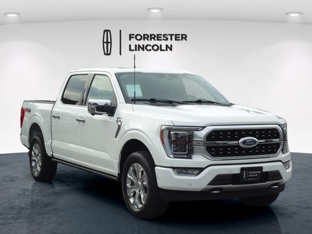 2023 Ford F-150 Platinum for sale in Chambersburg, PA