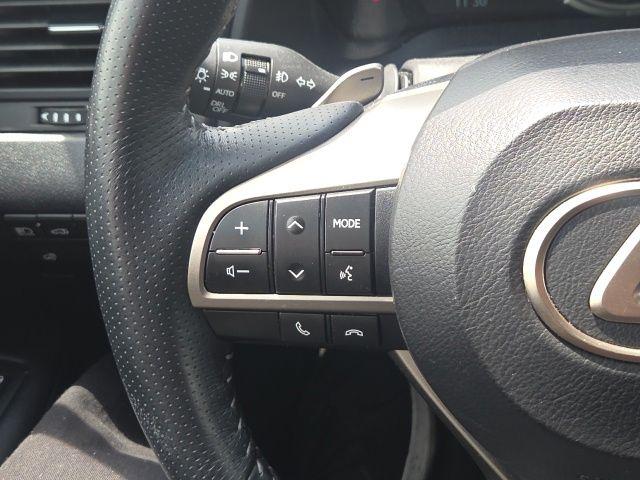 2019 Lexus RX 350 F SPORT