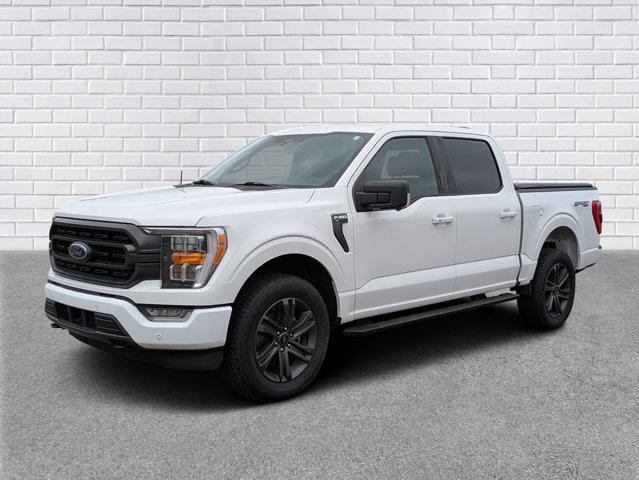 2023 Ford F-150 XLT for sale in Collins, MS