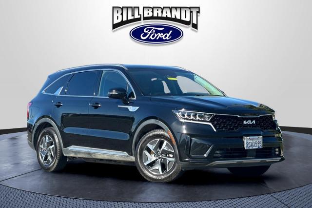 2023 Kia Sorento Hybrid EX for sale in Brentwood, CA