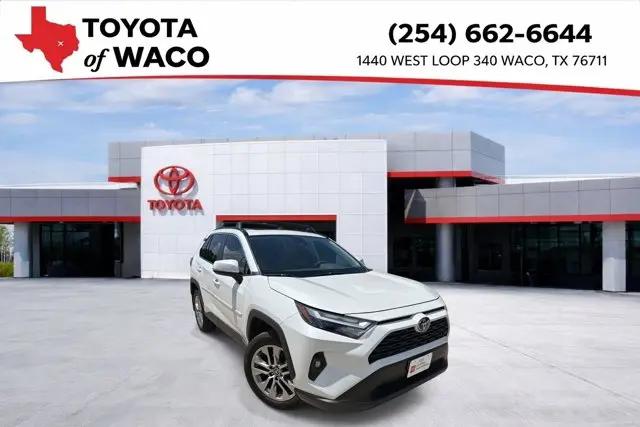 2025 Toyota RAV4 XLE Premium for sale in Waco, TX