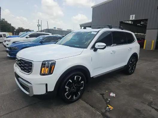 2024 Kia Telluride SX Prestige for sale in Golden Valley, MN