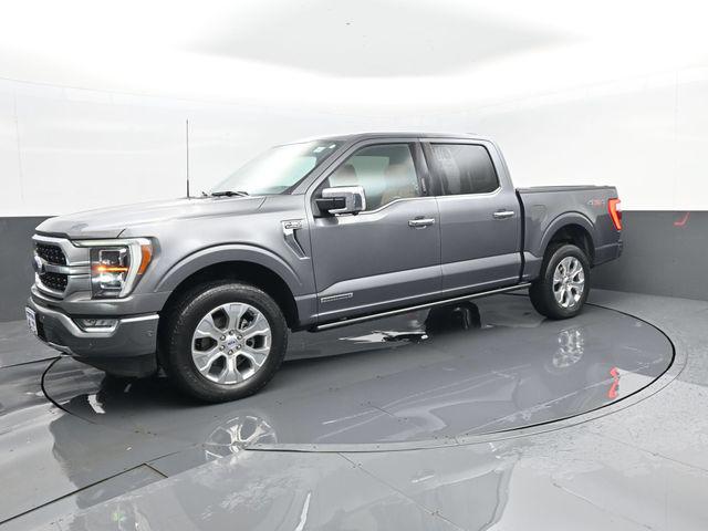 2023 Ford F-150 Platinum for sale in Grafton, WV