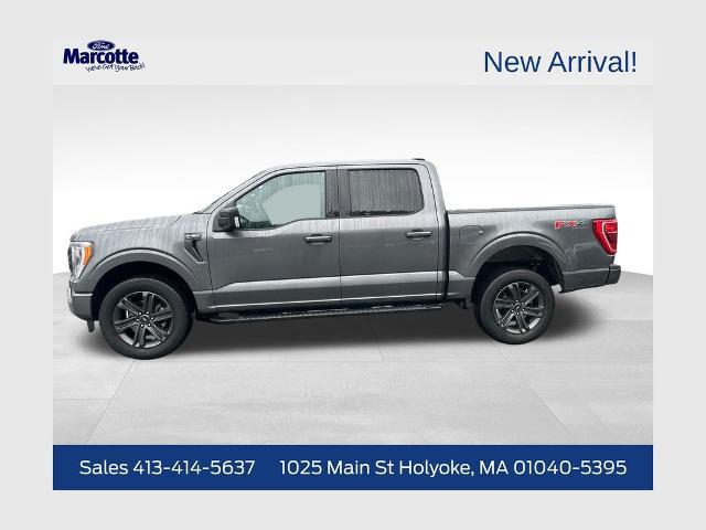 2023 Ford F-150 XLT for sale in Holyoke, MA
