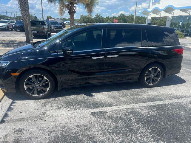 2023 Honda Odyssey Elite for sale in Homosassa, FL