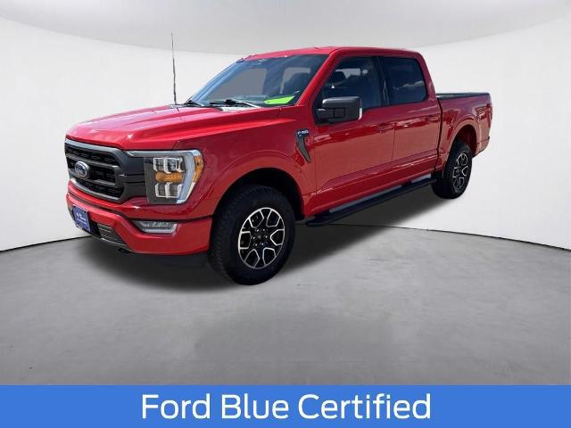 2023 Ford F-150 XLT for sale in Roseville, MN
