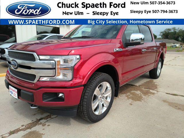 2019 Ford F-150 Platinum for sale in New Ulm, MN