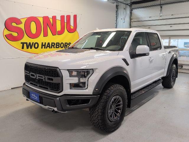 2019 Ford F-150 Raptor for sale in Two Harbors, MN