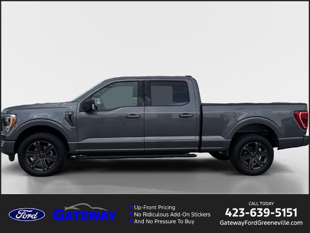 2023 Ford F-150 XLT for sale in Greeneville, TN