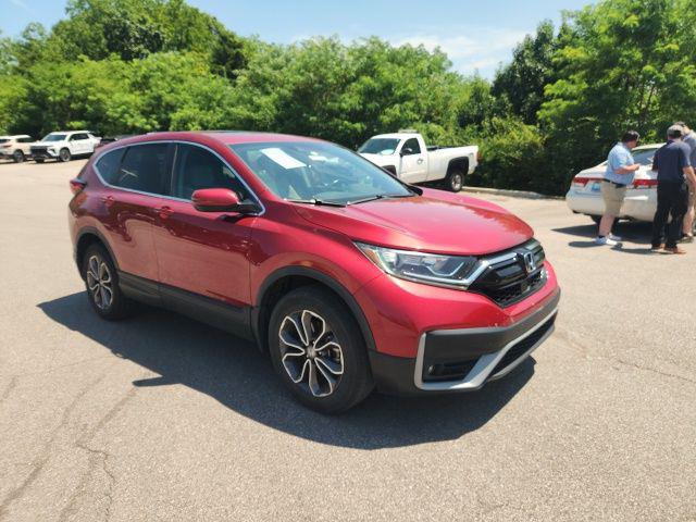 2022 Honda CR-V AWD EX-L for sale in ALEXANDRIA, KY