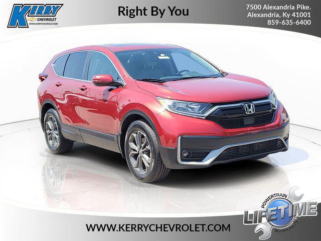 2022 Honda CR-V AWD EX-L for sale in ALEXANDRIA, KY