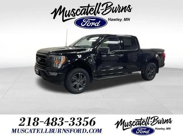 2023 Ford F-150 XLT for sale in Hawley, MN