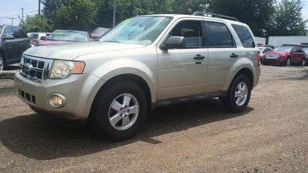2010 Ford Escape XLT for sale in WAYNE, MI