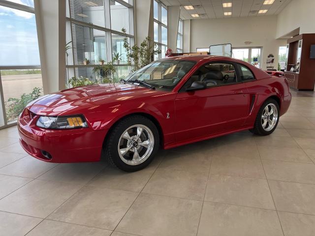 2001 Ford Mustang Cobra for sale in Manistique, MI