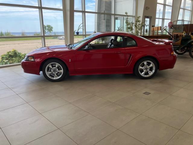 2001 Ford Mustang Cobra