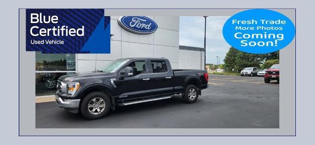 2023 Ford F-150 XLT for sale in North Branch, MN