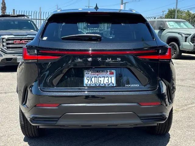 2024 Lexus NX NX 250