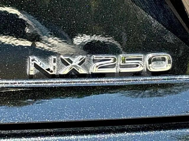 2024 Lexus NX NX 250
