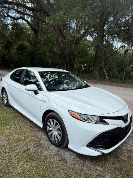 2019 Toyota Camry LE for sale in Micanopy, FL