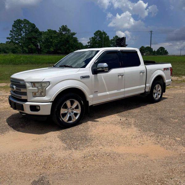 2015 Ford F-150 Platinum for sale in Mobile, AL