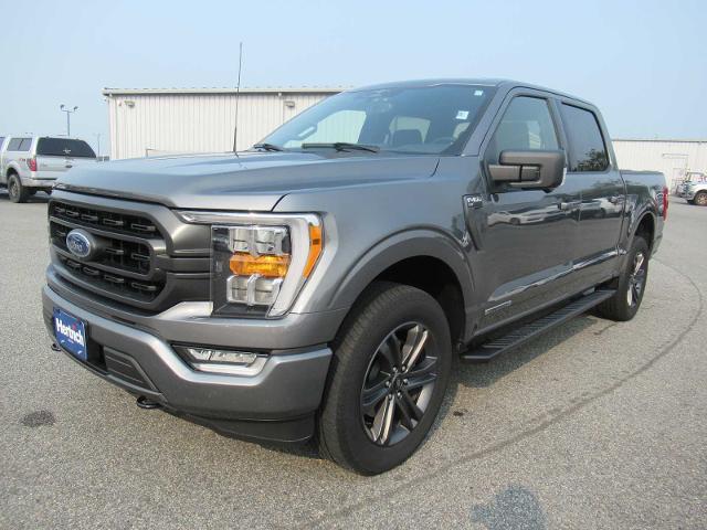 2023 Ford F-150 XLT for sale in Easton, MD