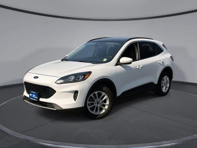 2020 Ford Escape SE for sale in Latham, NY