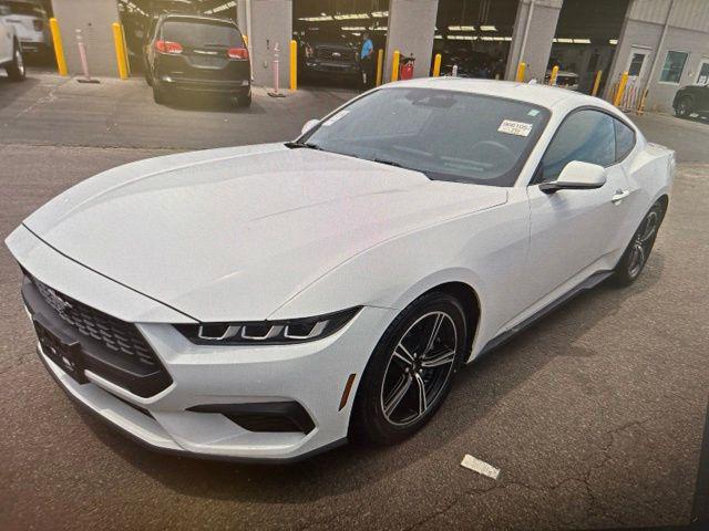 2024 Ford Mustang EcoBoost Fastback for sale in Overland Park, KS