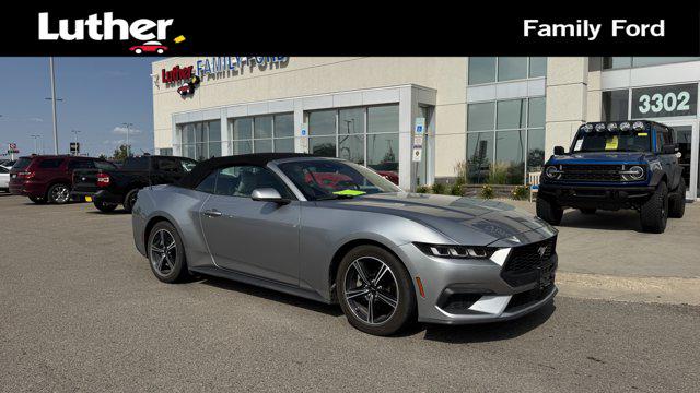 2024 Ford Mustang EcoBoost Premium Convertible for sale in Fargo, ND