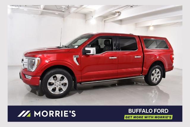 2022 Ford F-150 Platinum for sale in Buffalo, MN