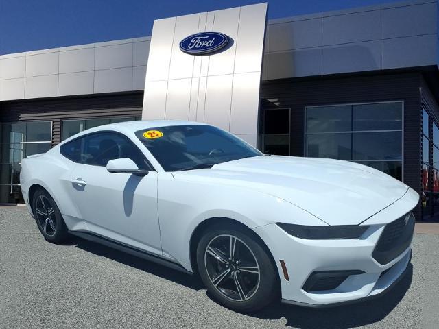 2025 Ford Mustang EcoBoost Premium Fastback for sale in Bowling Green, KY