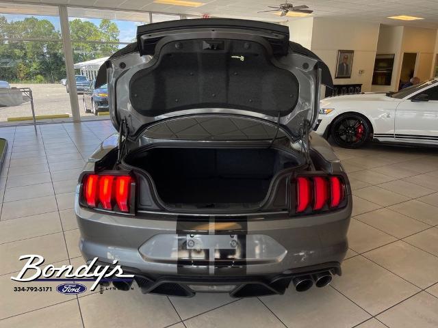 2021 Ford Mustang Shelby GT500 Fastback