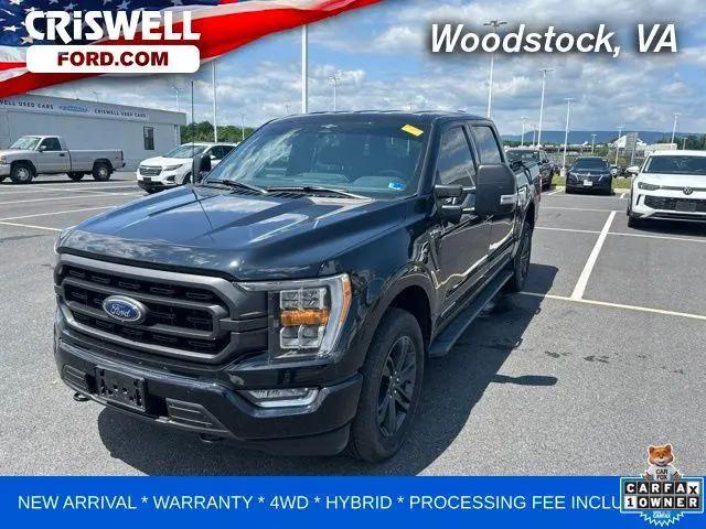 2023 Ford F-150 XLT for sale in Woodstock, VA