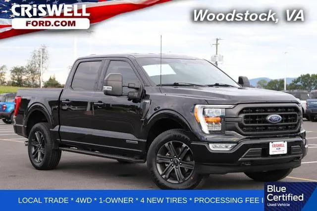 2023 Ford F-150 XLT for sale in Woodstock, VA