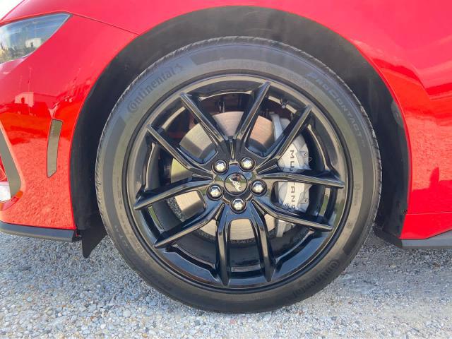 2025 Ford Mustang GT Premium Fastback