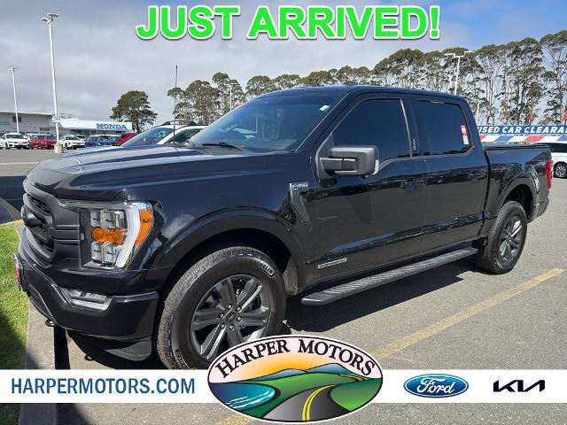 2023 Ford F-150 XLT for sale in Eureka, CA