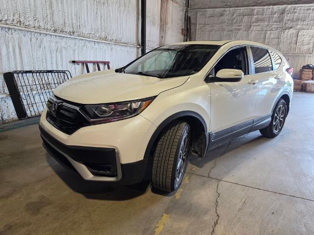 2022 Honda CR-V for sale near Chillicothe, OH