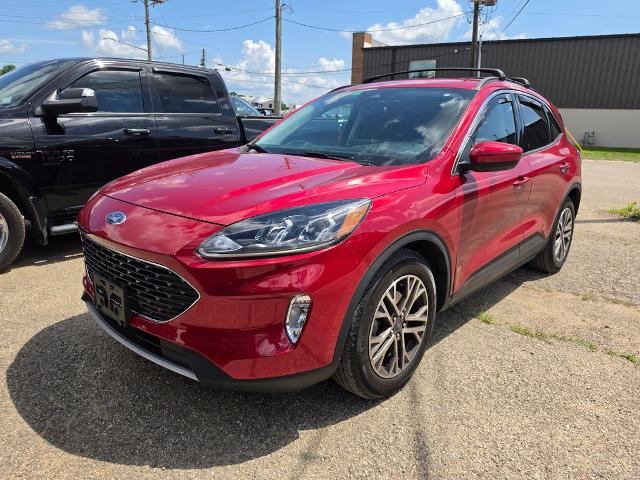 2021 Ford Escape for sale near Chillicothe, OH