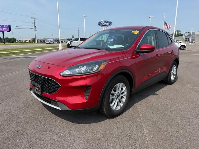 2020 Ford Escape for sale near Findlay, OH