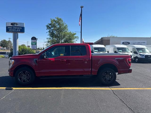 2021 Ford F-150 XLT
