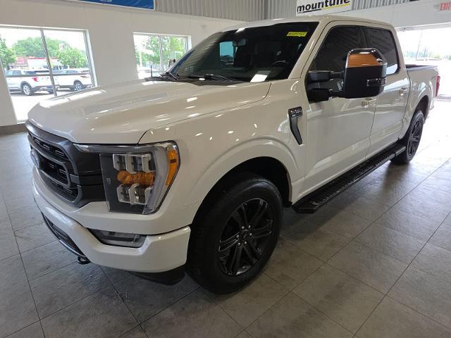 2021 Ford F-150 XLT for sale in Sterling Heights, MI