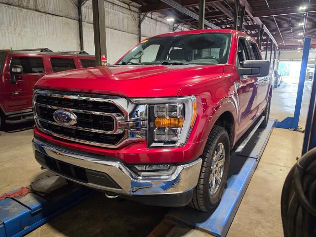 2021 Ford F-150 XLT for sale near Chillicothe, OH