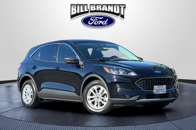 2022 Ford Escape SE for sale in Brentwood, CA
