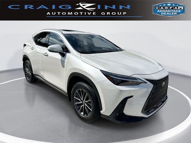 2024 Lexus NX 350h Premium for sale in Hollywood, FL