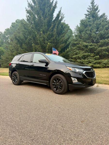 2019 Chevrolet Equinox LS for sale in Grand Rapids, MI