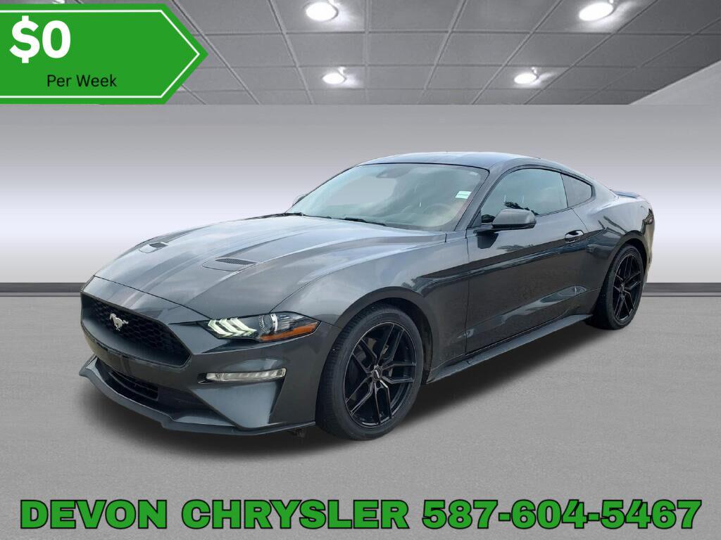 Mustang