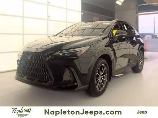 2024 Lexus NX 350 350 Base for sale in Arlington Heights, IL