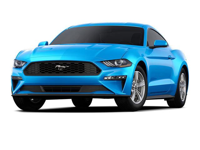 2022 Ford Mustang EcoBoost Fastback for sale in Skaneateles, NY