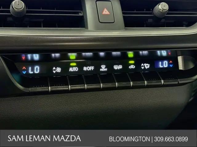 2025 Lexus 300 UX 300h